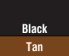 Black/Tan