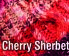 Cherry Sherbert