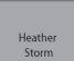 Heather Storm