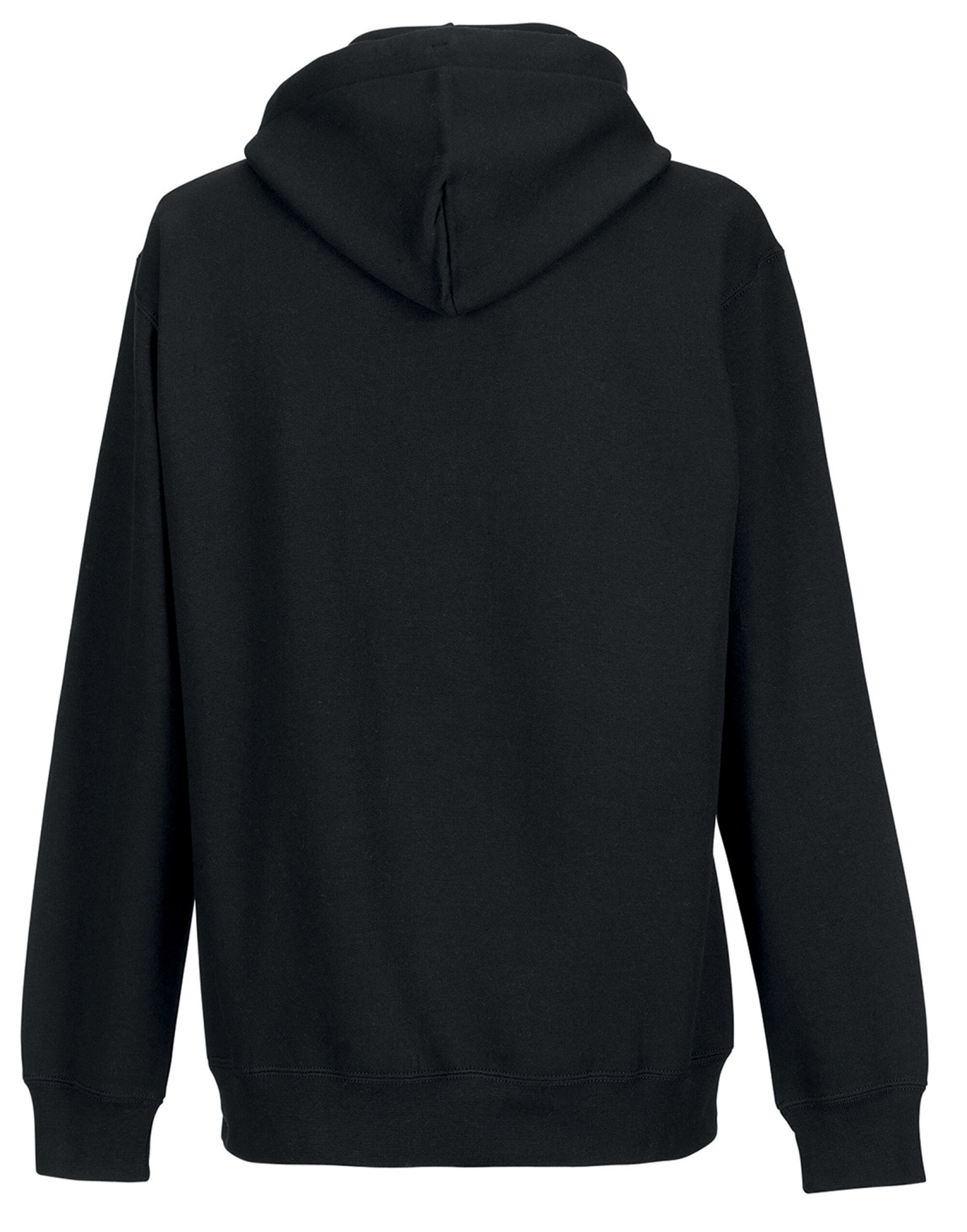 Picture of Hooded Sweatshirt