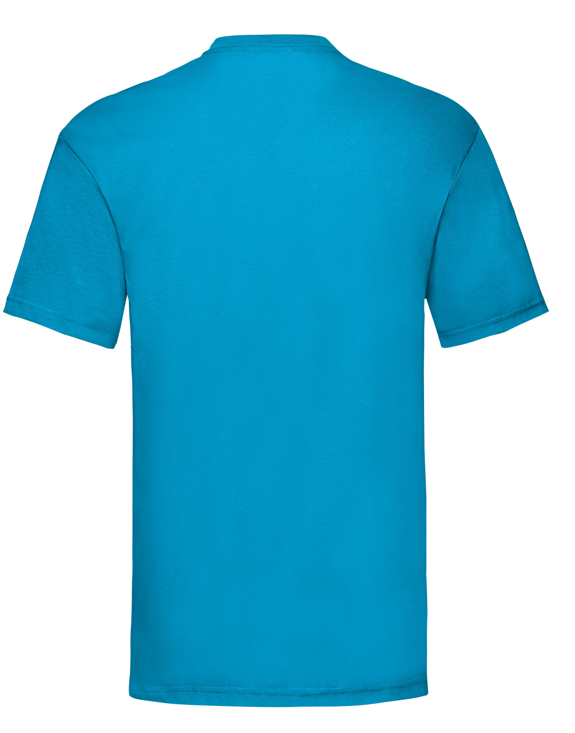 Picture of Men's Valueweight T-Shirt