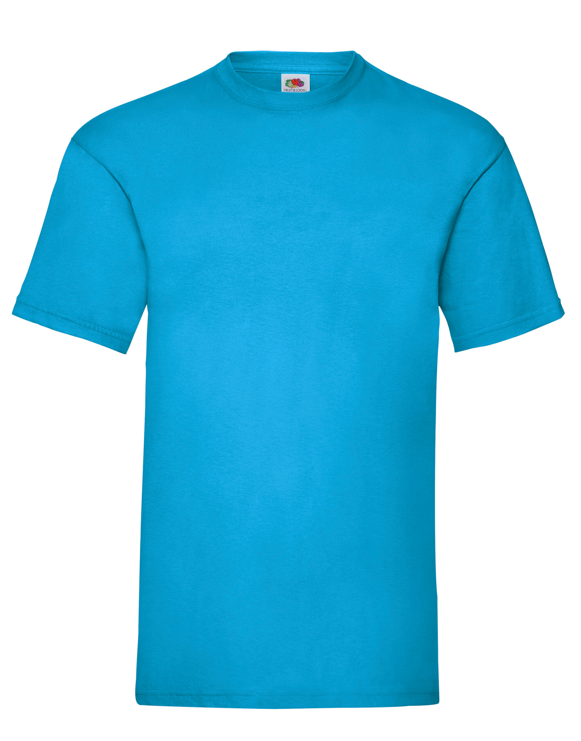 Picture of Men's Valueweight T-Shirt