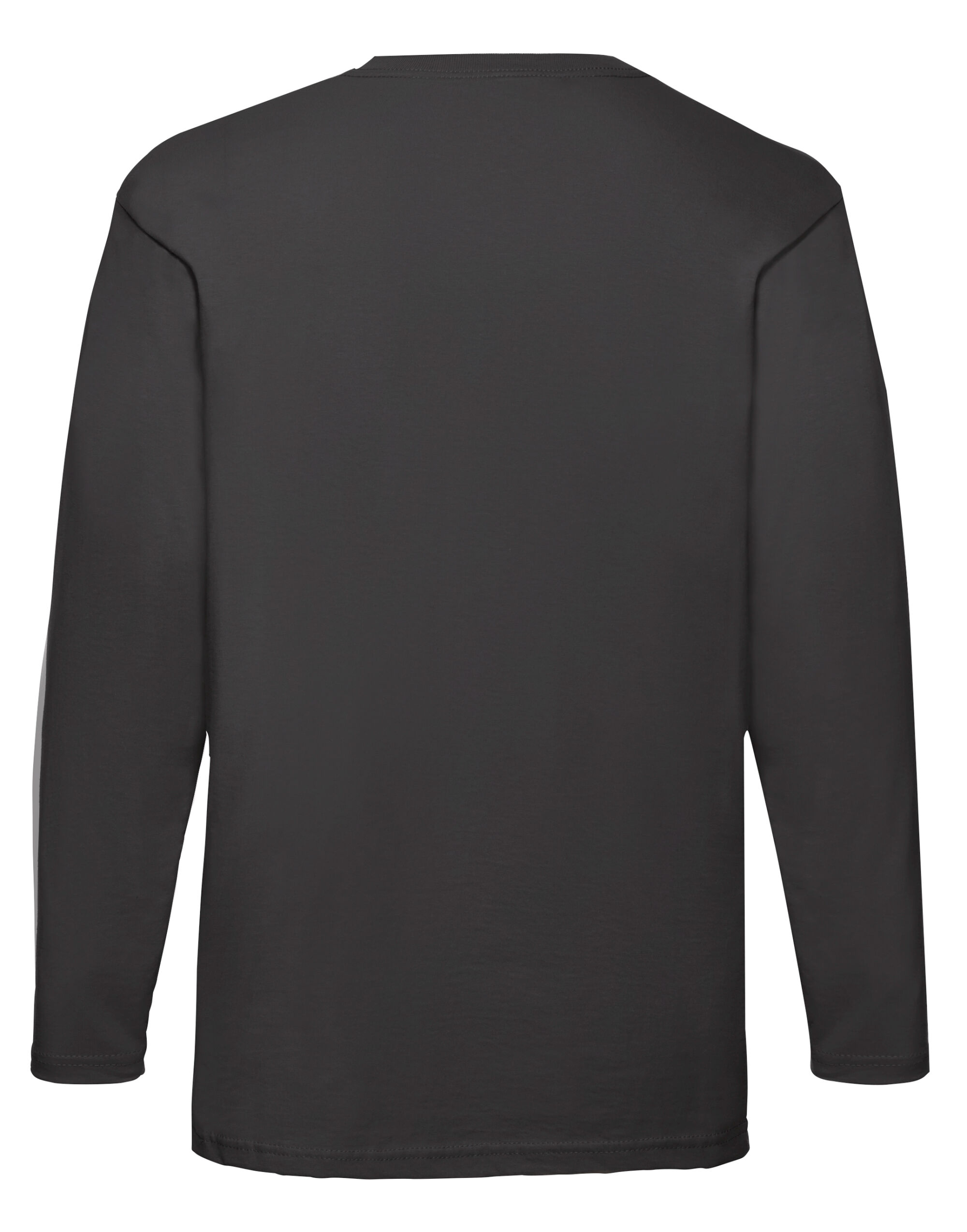 Picture of Men's Valueweight Long Sleeve T-Shirt